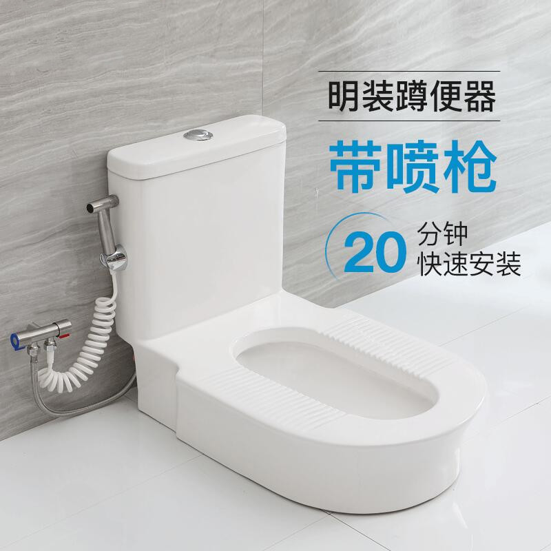 烈朗 蹲坐两用马桶一体坐便器改蹲厕神器 换蹲非蹲 蹲坑式加装便器 带