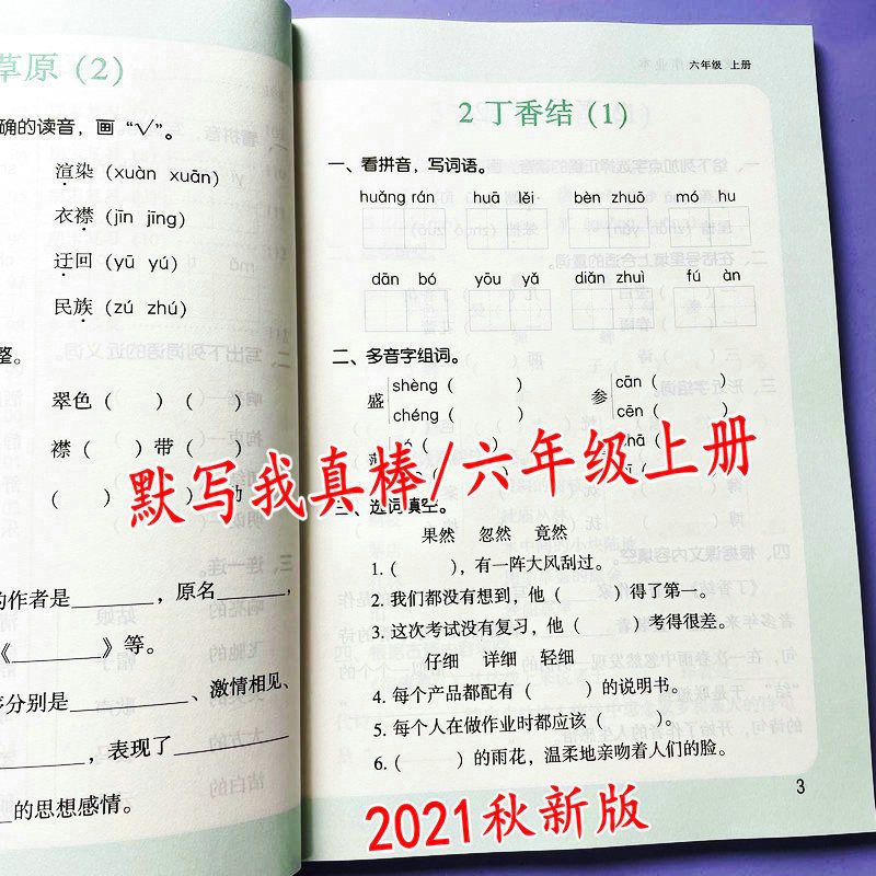 默写我真棒六年级上册语文课堂作业本看拼音写词语同步课文默写本