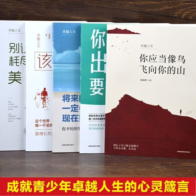 卓越人生全5册】你应当像鸟儿飞向你的山+你要么出众，要么出局+将来的你一定会感谢现在努力的书籍
