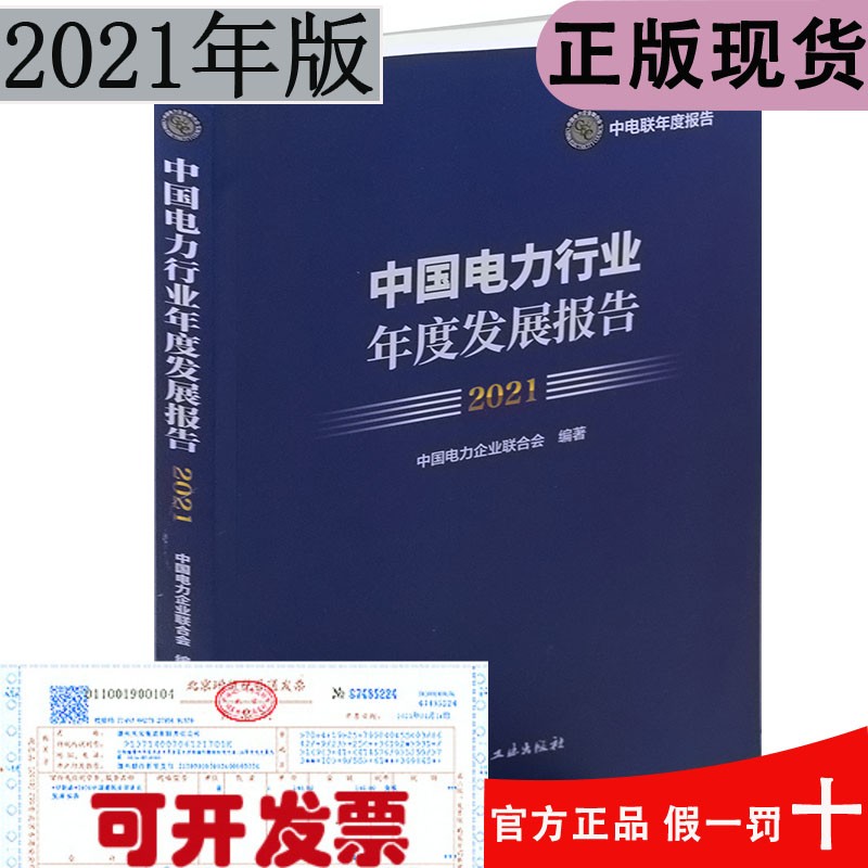中国电力行业年度发展报告（统计年鉴） 2021年版
