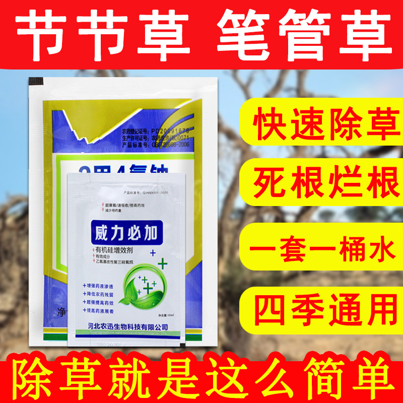 农药专杀笔管草烂根除草剂节节草专用除草剂节骨草笔杆草死根 18ml