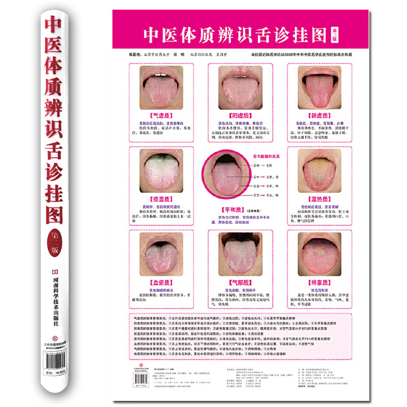 中医体质辨识舌诊挂图第2版 梁嵘 中医望舌诊病气虚质/阳虚质/阴虚质