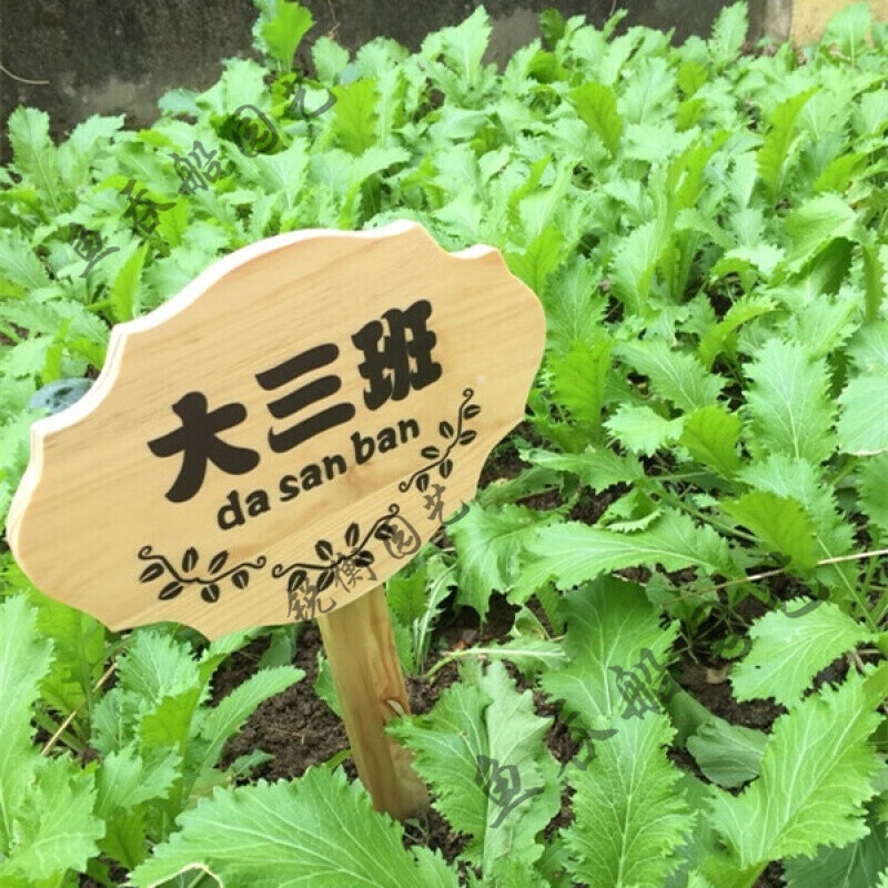 奔新农插地牌定制木牌子公园菜园菜地木质草地种植区指示牌立式插地牌