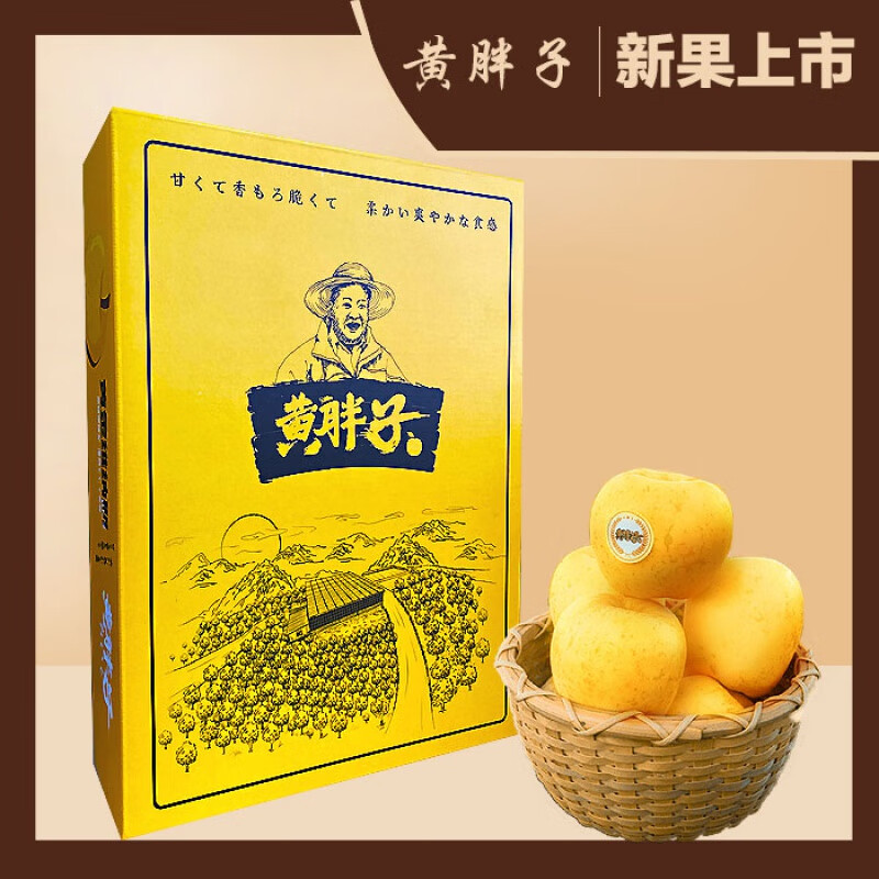 玫栀 黄胖子维纳斯黄金苹果甜脆多汁香新鲜威海产地源头 4.7斤 80mm(含)-85mm(不含)