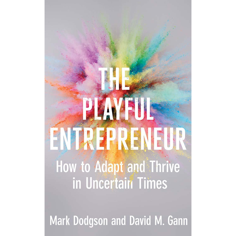the playful entrepreneur: how to adapt and thrive