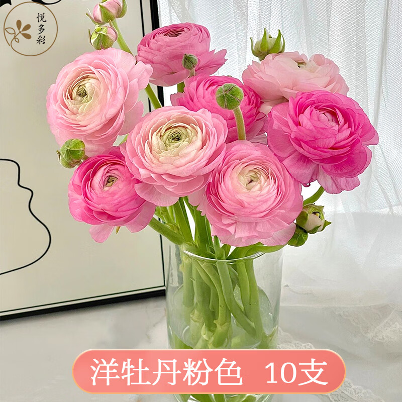 �ö��A�������������ʻ�  �ذ���ҩ�ʻ������ֲ�ֱ�� ����������Ů���� ��ĵ����ɫ  10֧