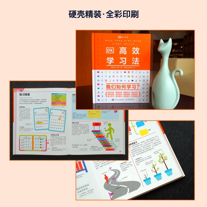 DK高效学习法详情图