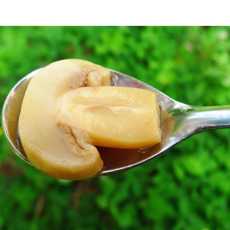 虎钢馋口蘑白蘑菇切片罐头284g*4罐片状双孢菇烘焙披萨沙拉甜品材料