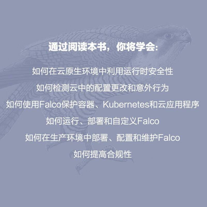 Falco云原生安全：Falco原理、实践与扩展详情图