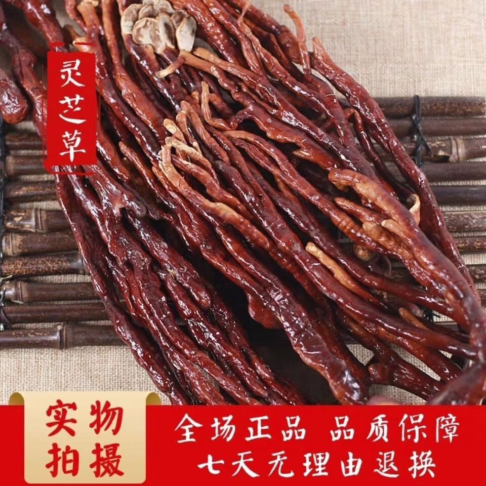 花色堂鹿角灵芝500克长白山半野生灵芝草泡酒煲汤佛手多规格 100克