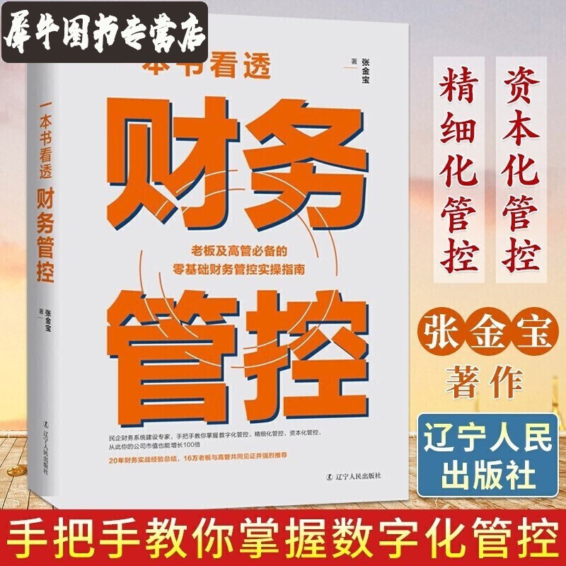 【多规格】民企两账合一实操手册 张金宝 一本书看透财务管控 避税1+2唯一安全的方法 税收筹划一本通 税收策划实战案例精选 一本书看透财务管控 张金宝