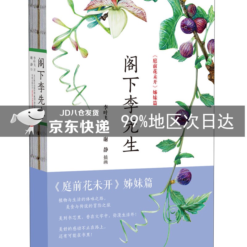 阁下李先生
