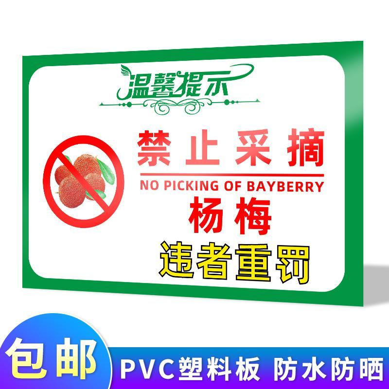 禁止采摘警示牌已施农药当心中毒安全标识牌果园果树菜园庄园请勿 cz