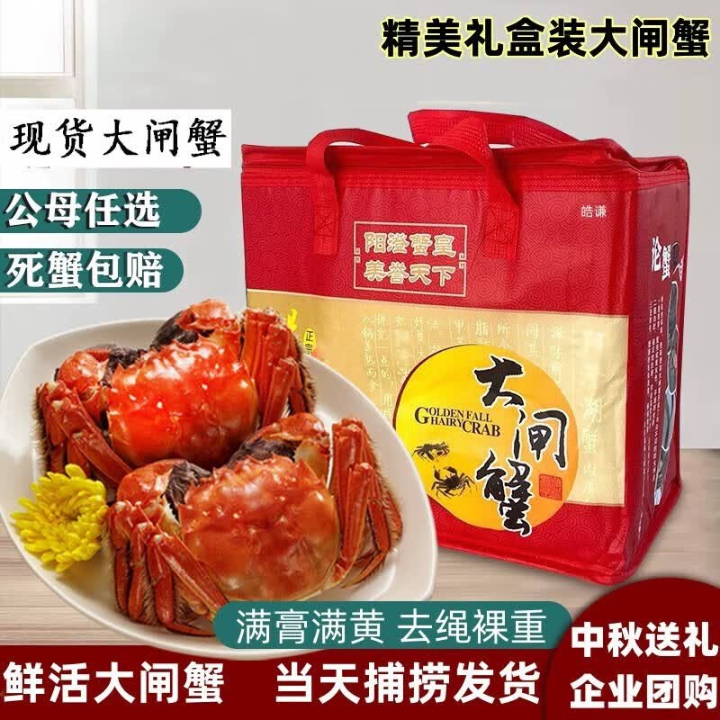 【活蟹】大闸蟹现货全母鲜活螃蟹水产大螃蟹满黄大闸蟹中秋礼盒装 2.0~2.3两全母满黄大闸蟹 8只精美礼盒装