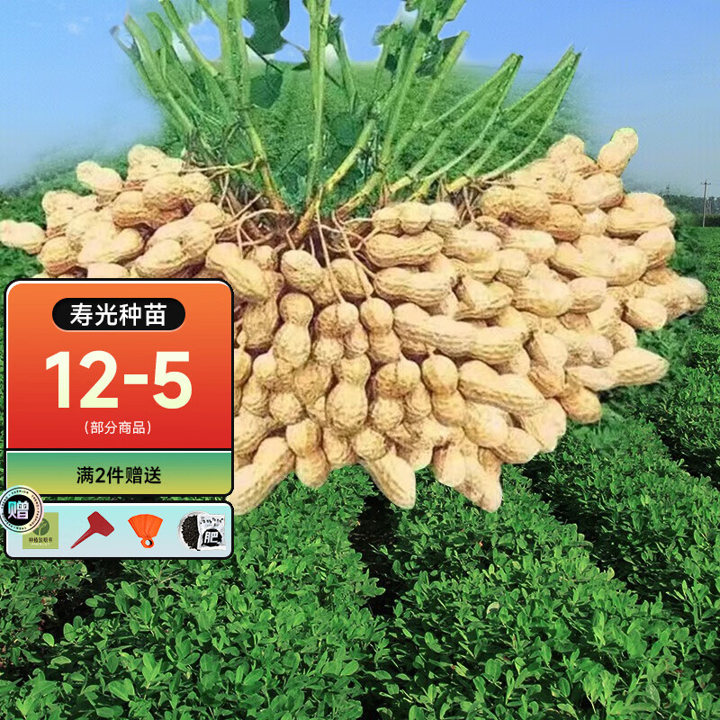 蔬菜类京东史低|蔬菜类价格比较