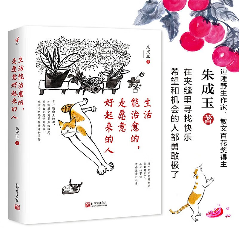 【京东包邮】生活能治愈的,是愿意好起来的人 百花奖作家朱成玉作品