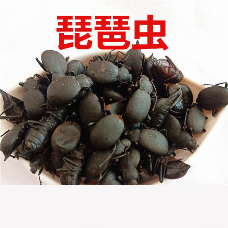 中药材琵琶甲 臭屁虫 喙尾琵琶甲 臭壳子虫 高脚虫100克 100克