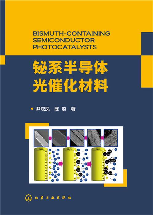 铋系半导体光催化材料 尹双凤,陈浪【正版书】