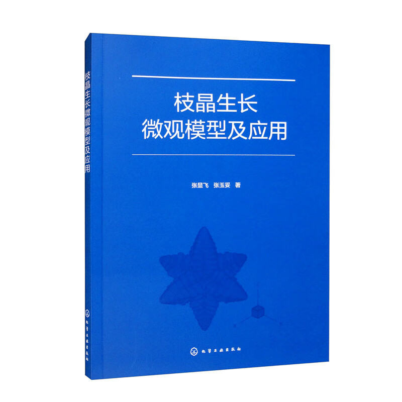 枝晶生长微观模型及应用