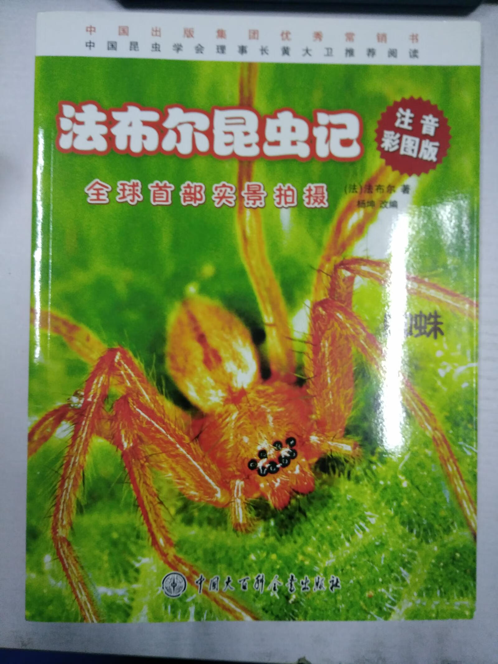 法布尔昆虫记 蜘蛛 注音彩图版 实景拍摄【正版好书,下单速发】