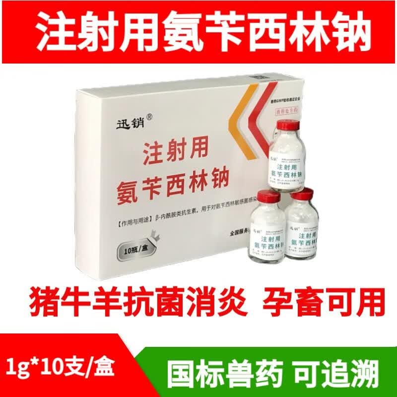 迅销兽药兽用1克注射用氨苄西林钠猪牛羊肠炎腹泻咳嗽呼吸泌尿道消炎