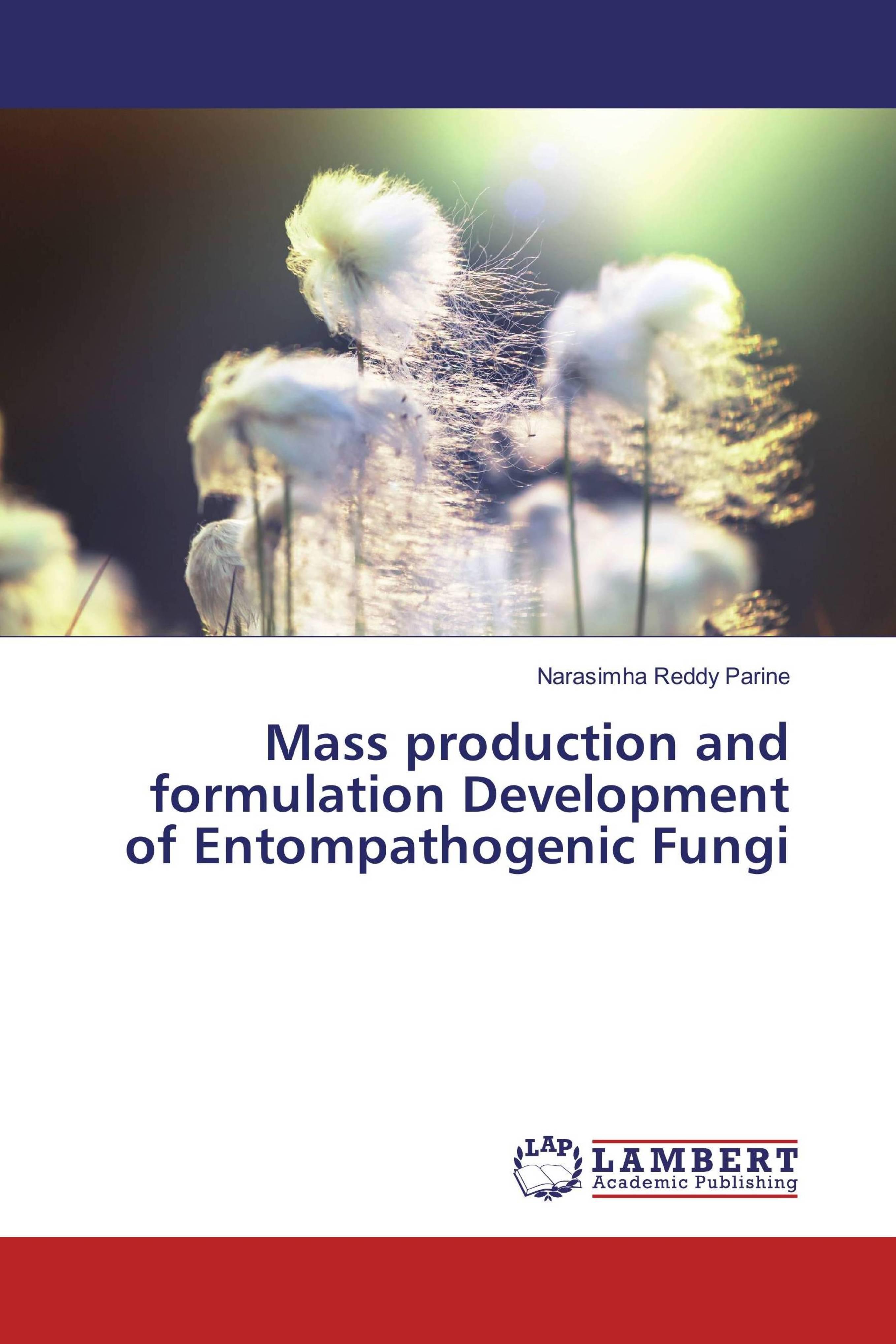 预订 学位论文mass production and formulation development of en