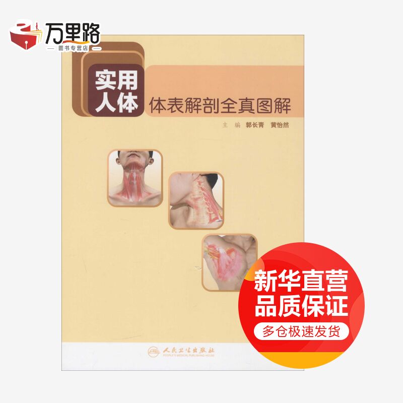 实用人体体表解剖全真图解