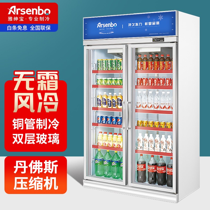 雅绅宝（Arsenbo）立式冰柜商用冰箱适合超市购买吗？插图