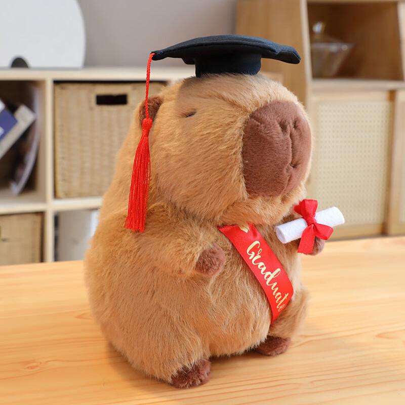 菲菲熊卡通卡皮巴拉水豚公仔毛绒玩具可爱博士帽水豚鼠毕业学生生日礼物 棕色博士帽水豚 25厘米 0.18KG