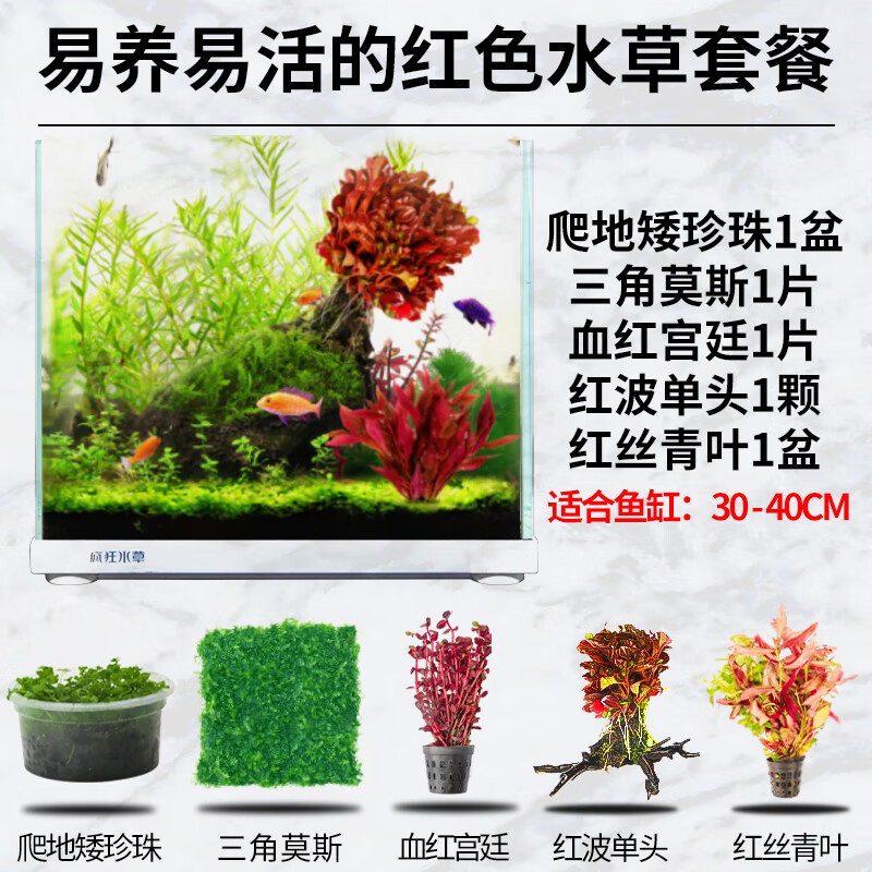 红草 相关京东优惠商品人气降序 价格图片品牌优惠券 虎窝购
