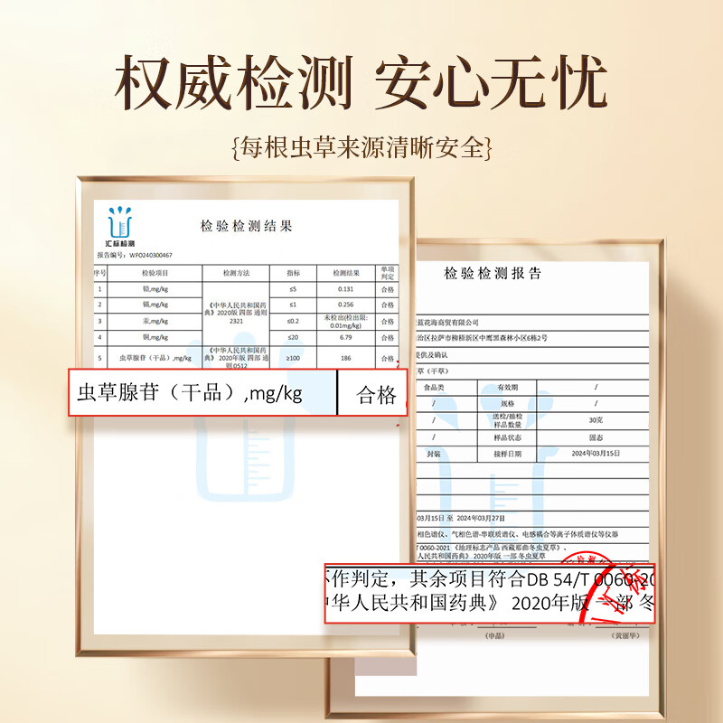 紫蓝花海冬虫夏草 头茬新干虫草滋补品过节送礼滋补健康礼盒 3-4根/g 10g*1盒 【镇店爆款】