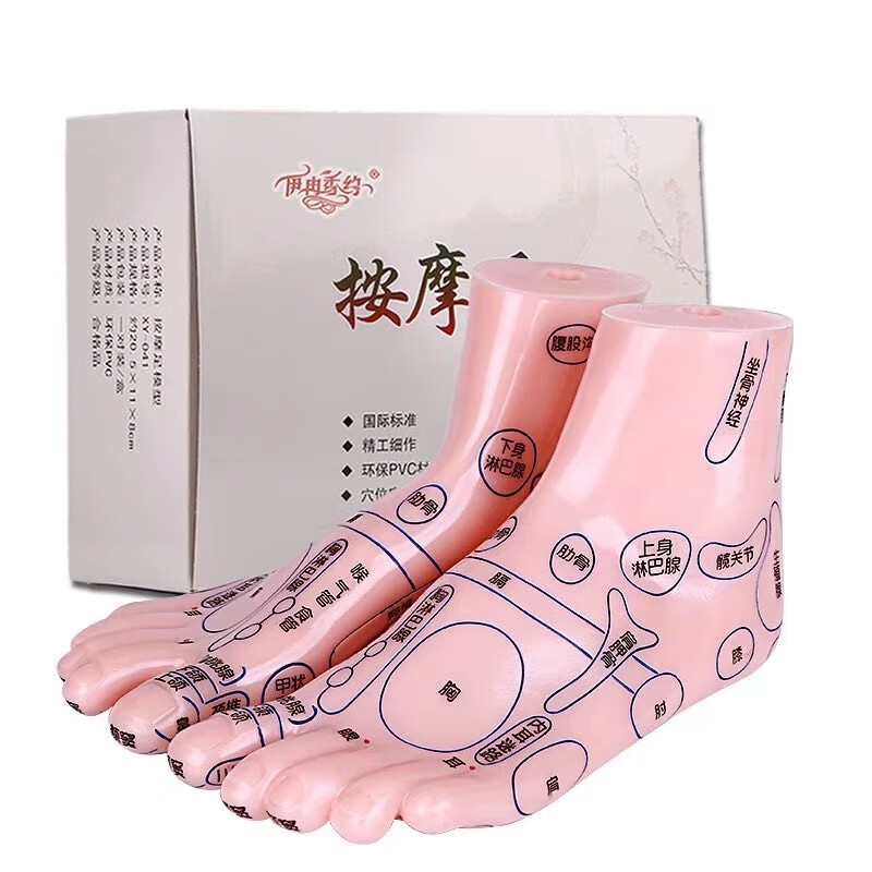 清晰足底反射区模型脚底按摩点穴足部经络穴位图脚模形足 *12cm