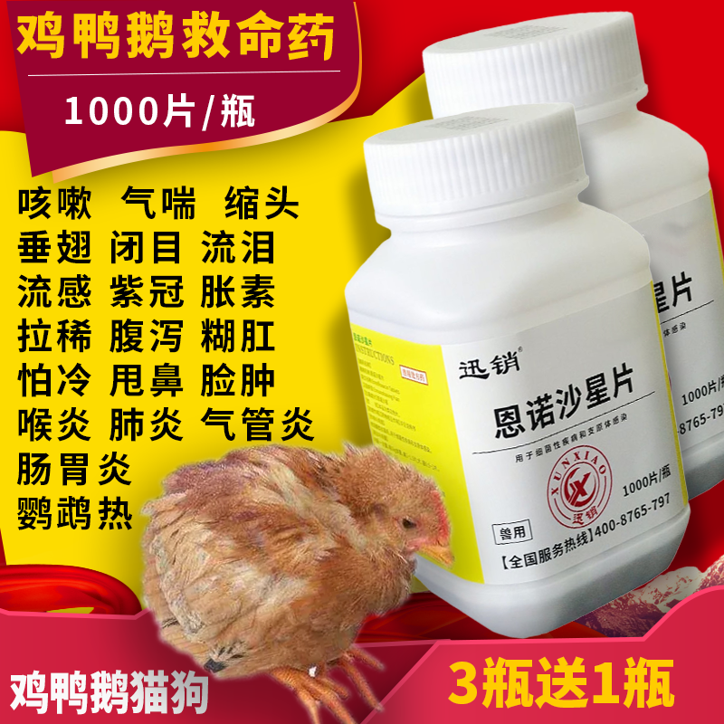 迅销恩诺沙星片兽用鸡药大全特效抗病毒特效呼吸道鸡鸭鹅鸟鸽拉稀腹泻 1瓶价格-1000片（限购1瓶）高性价比高么？