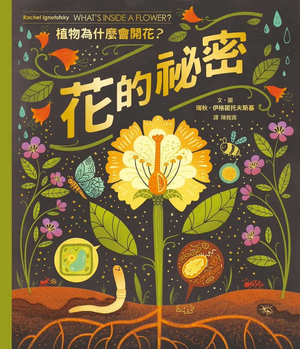 预售 瑞秋．伊格诺托夫斯基 花的秘密：植物为什么会开花？ 远流