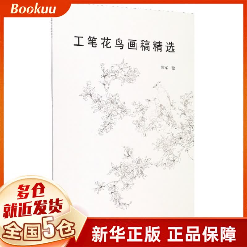 工笔花鸟画稿精选