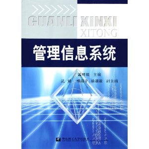 管理信息系统 孟祥瑞编【正版】