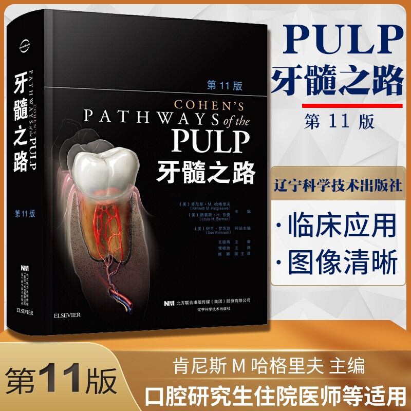 牙髓之路第11版十一版T牙体牙髓病学临床牙髓再生技术口腔医学类专业书籍牙髓治疗根管治疗图谱 辽宁科学出版社