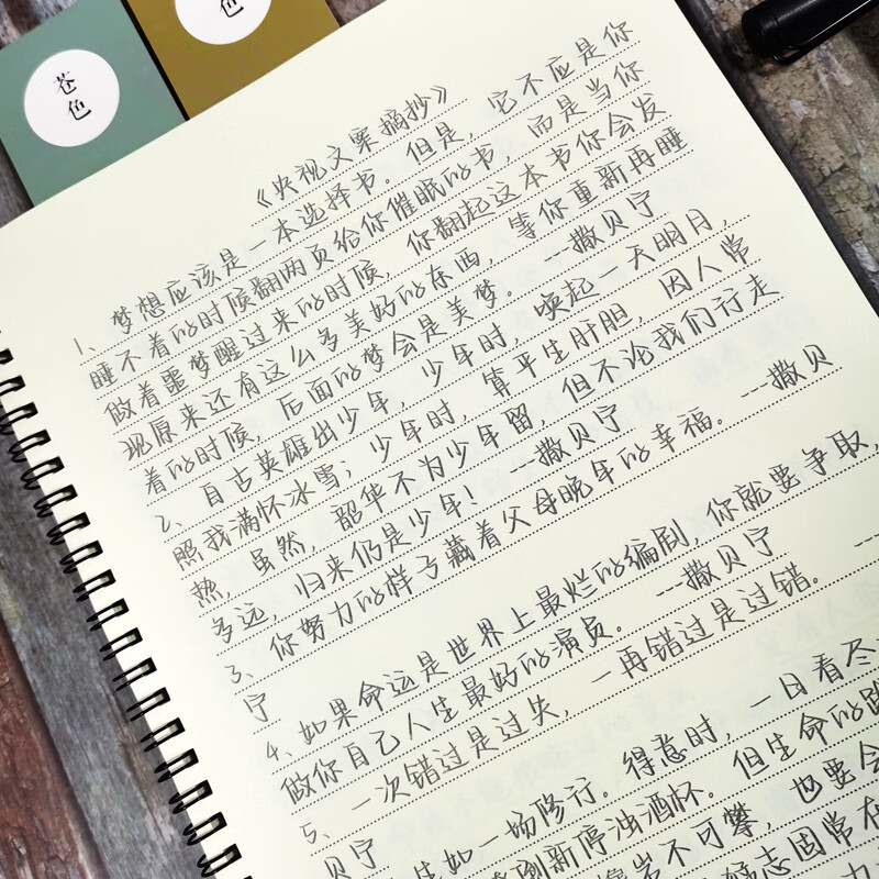 玫瑰体女生手写漂亮练字帖央视文案大报金句励志语录钢笔临 央视文案