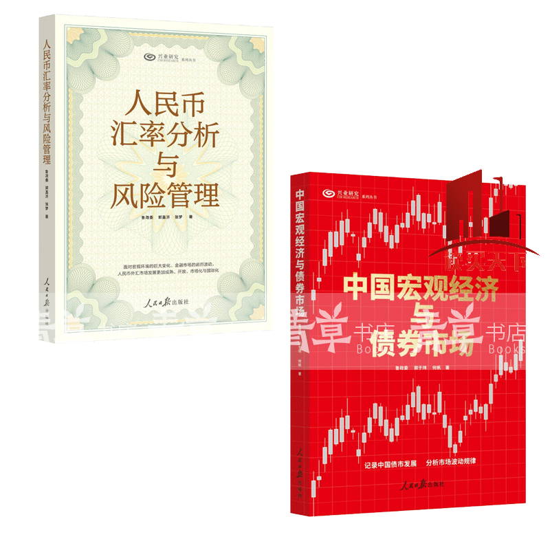 正版书籍 人民币汇率分析与管理+中国宏观经济与债券市场 2册人民日报出版社9787511576248  C