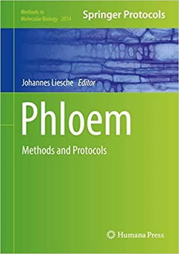预订 高被引phloem: methods and protocols (2019)