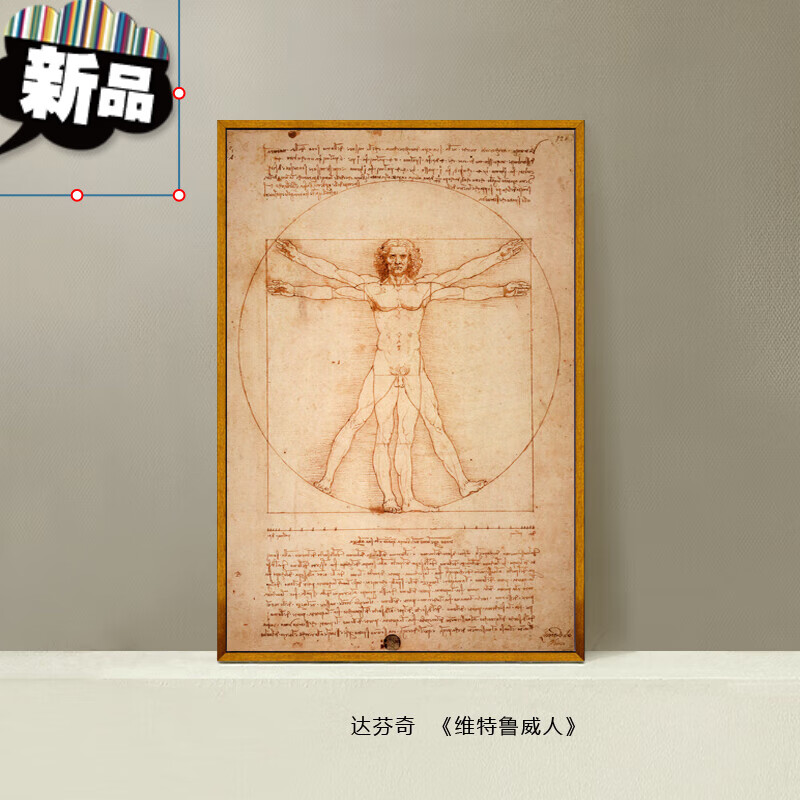定制达芬奇维特鲁威人文艺复兴世界名画油画客厅欧式古典人物装饰