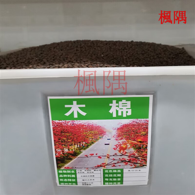 楓隅木棉种子美丽异木棉林木种籽四季行道树多年生景观绿化观叶种孑