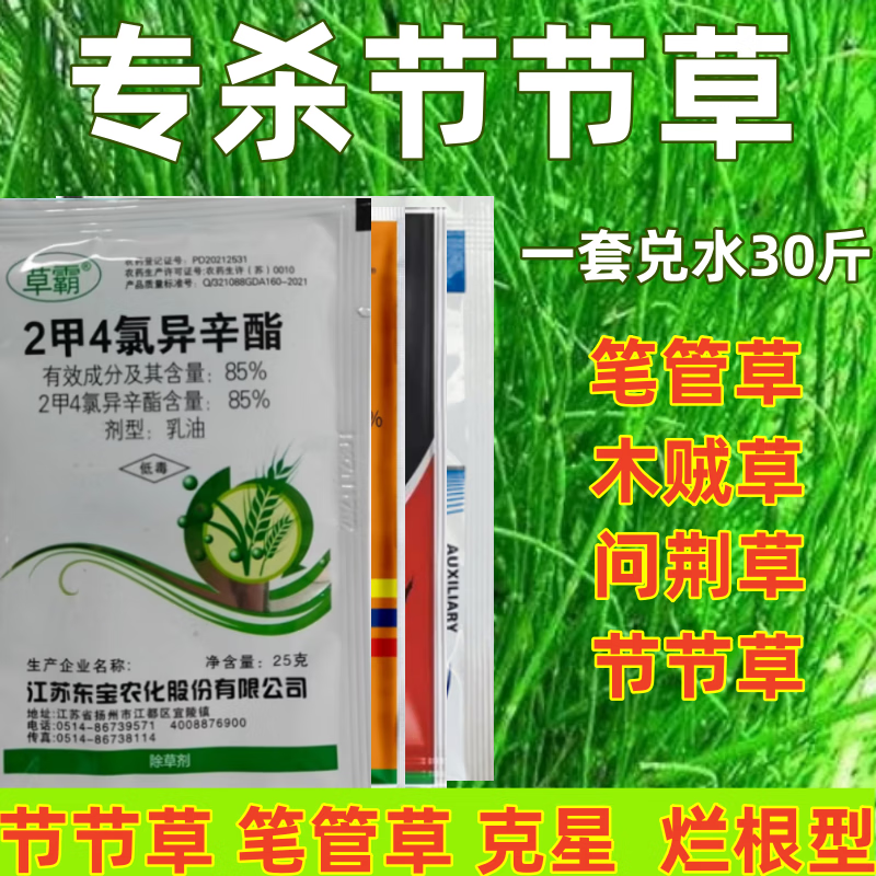 专杀笔管草烂根除草剂节节草专用除草剂节骨草笔杆草死根高效 235g1套