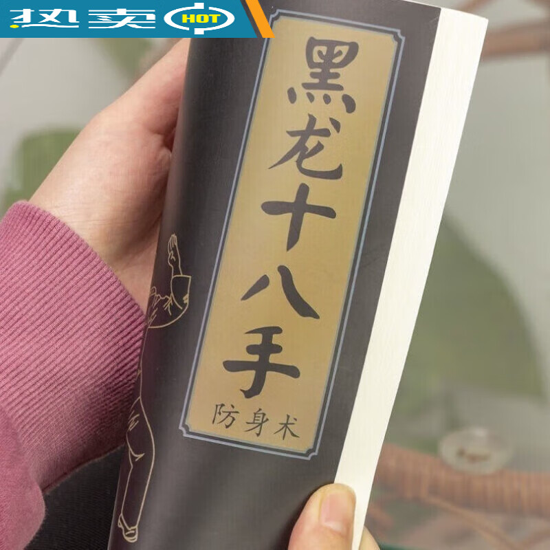 黑龙十八手 军体拳格斗基本功招式实战应用 式实战应用