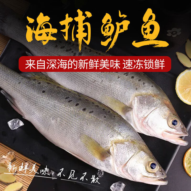 新鲜大鲈鱼开背鲈鱼三去七星海鲈鱼鲜活海鲜水产海鱼1-2斤整箱装 整鱼