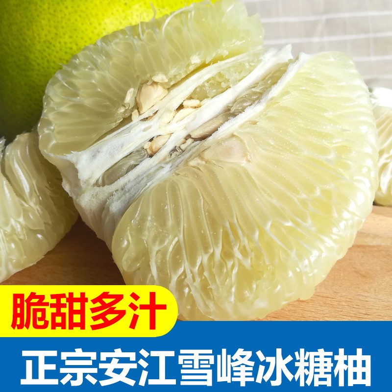 新鲜安江冰糖柚  湖南雪峰柚子老树白肉蜜柚 5斤中果(约6-8个)