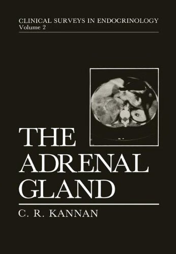 预订 the adrenal gland