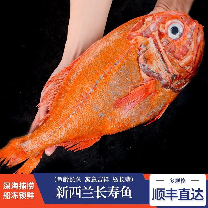 墨妍御鲜 长寿鱼 新西兰船冻长寿鱼富贵鱼 橙鲷 新西兰深海长寿鱼 2.