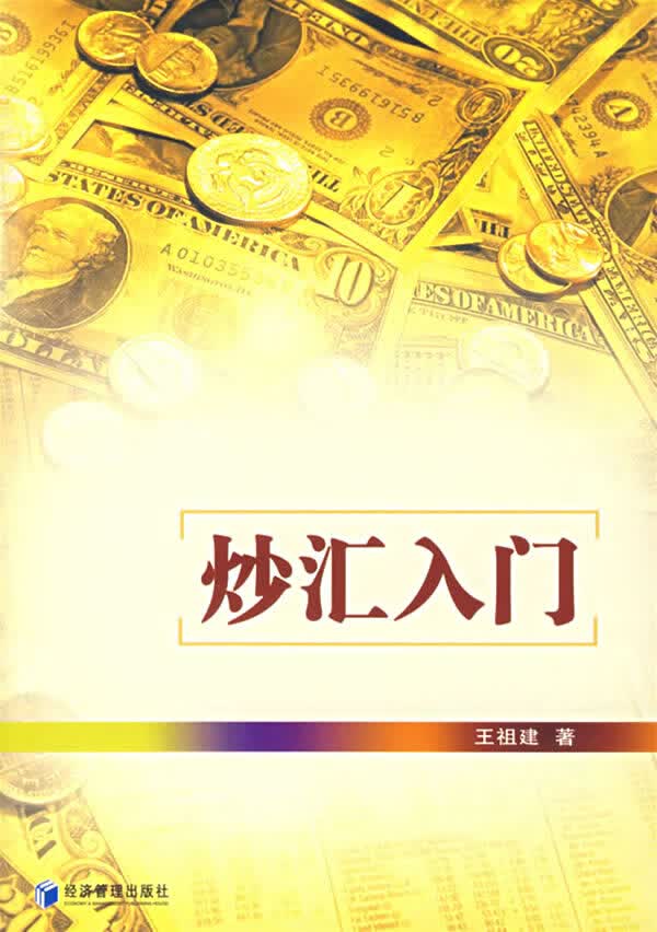 炒汇入门【正版图书】