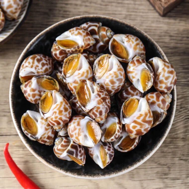 六鲜钓海 新鲜大花螺 花螺鲜活冷冻 东风螺海螺海猪螺 生鲜海鲜水产 1